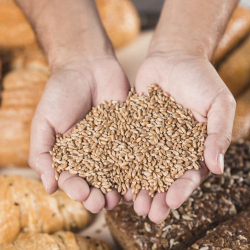 Gluténérzékenység